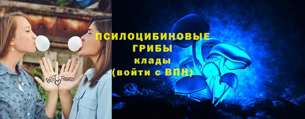 прущие крисы Абаза